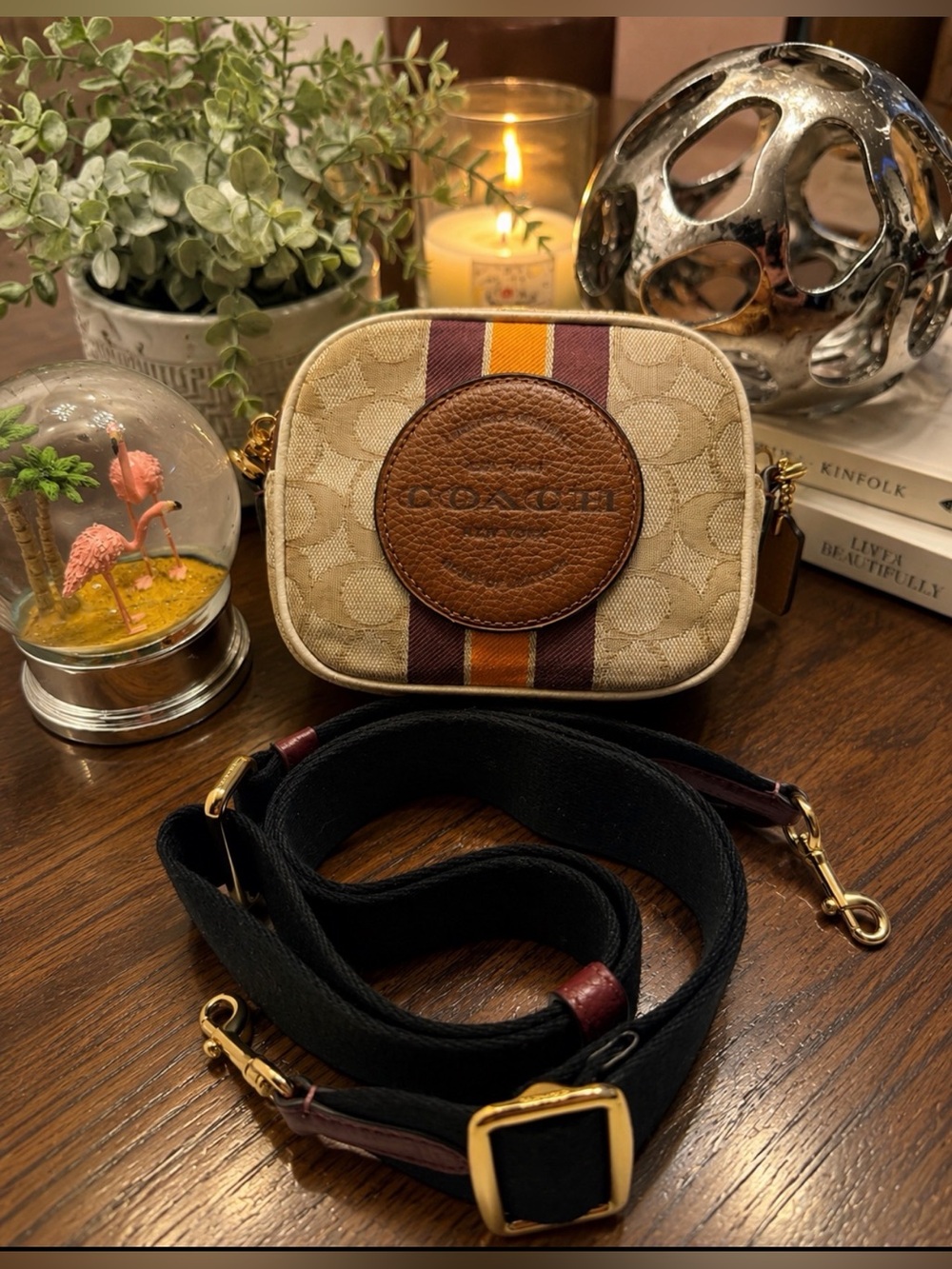 Coach Signature Stripe Camera Bag in Khaki & Burgundy